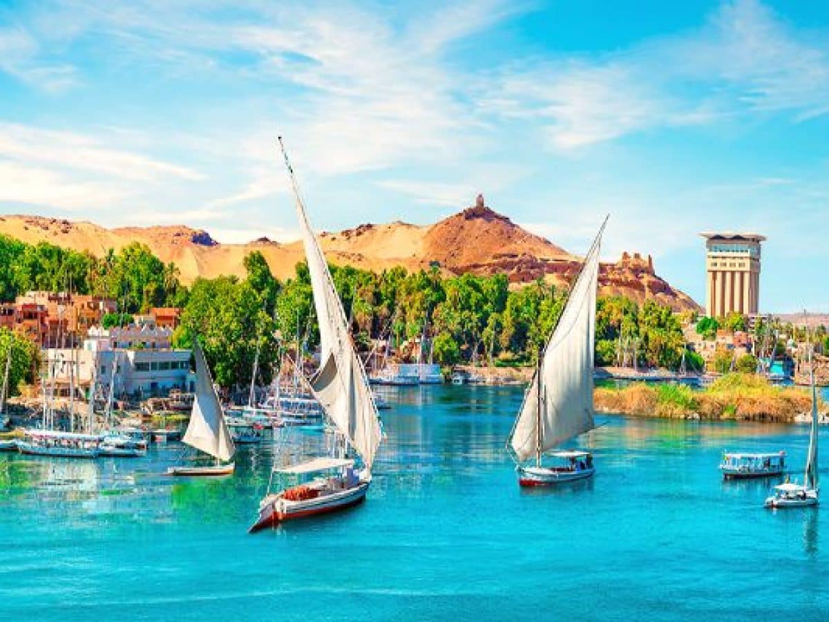 activities in aswan city