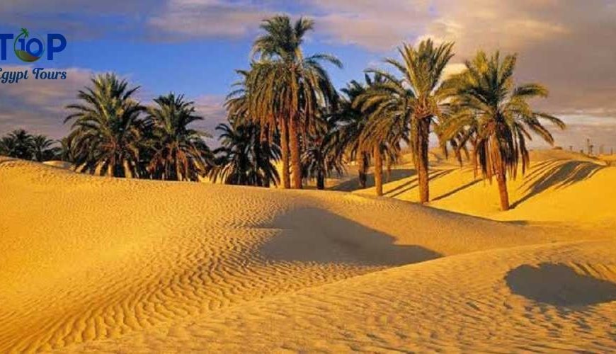 Visit Fayoum Oasis Excursion From Cairo