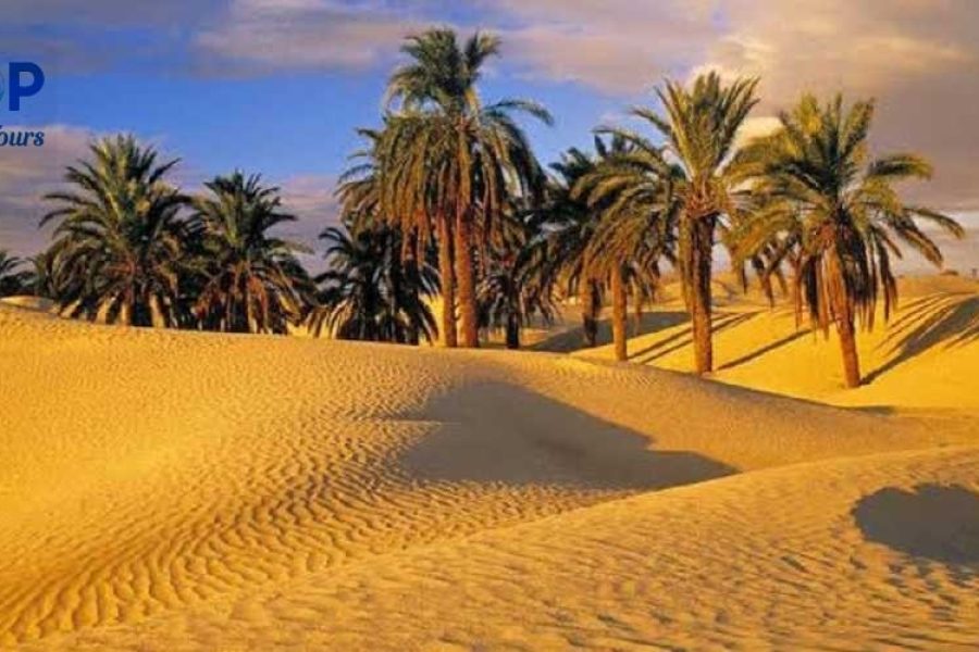 Visit Fayoum Oasis Excursion From Cairo