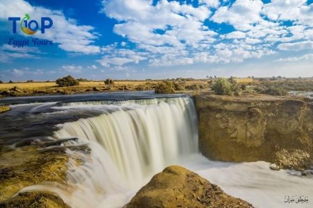 Day Tour to Wadi El Rayan Whales Valley (Wadi Hitan) from Aswan