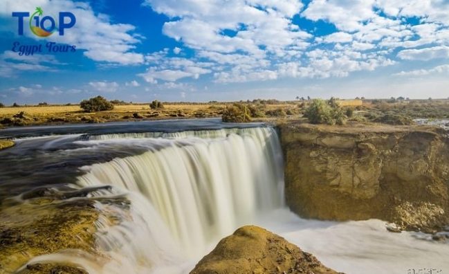 Day Tour to Wadi El Rayan Whales Valley (Wadi Hitan) from Aswan