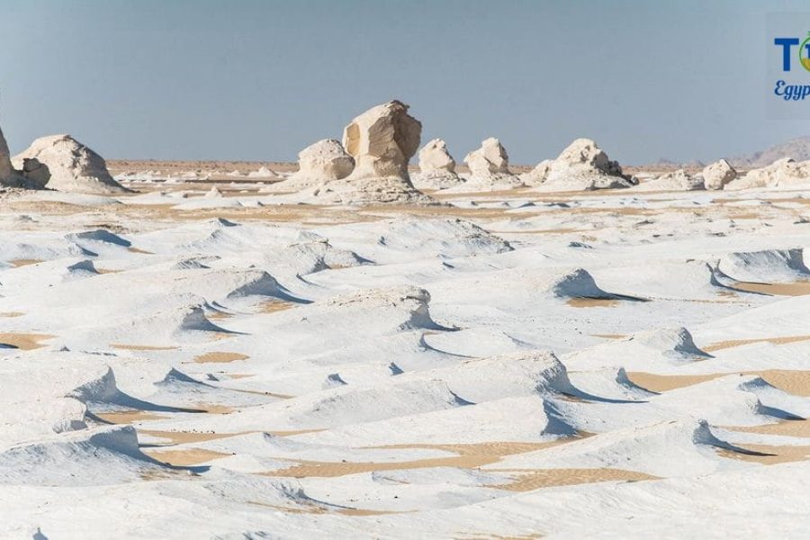 White Desert Egypt Tour and Bahariya Oasis from Cairo