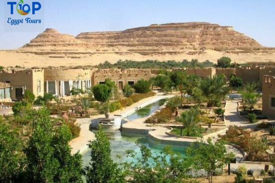 Bahariya Oasis and White Desert Tour from Cairo