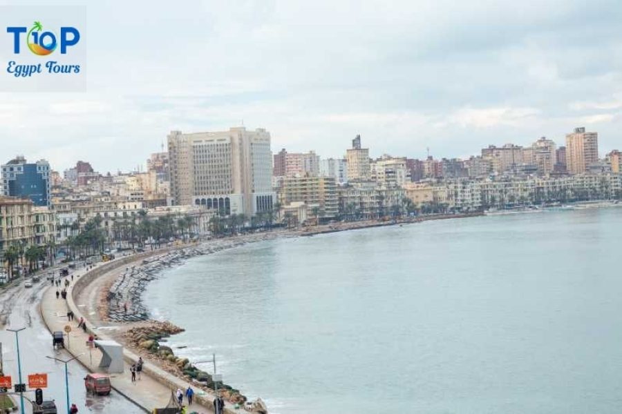 Day Tour to Alexandria from Alexandria Port