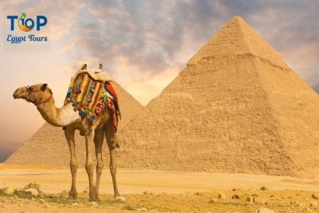 Camel or Horseback Ride around Giza Pyramids