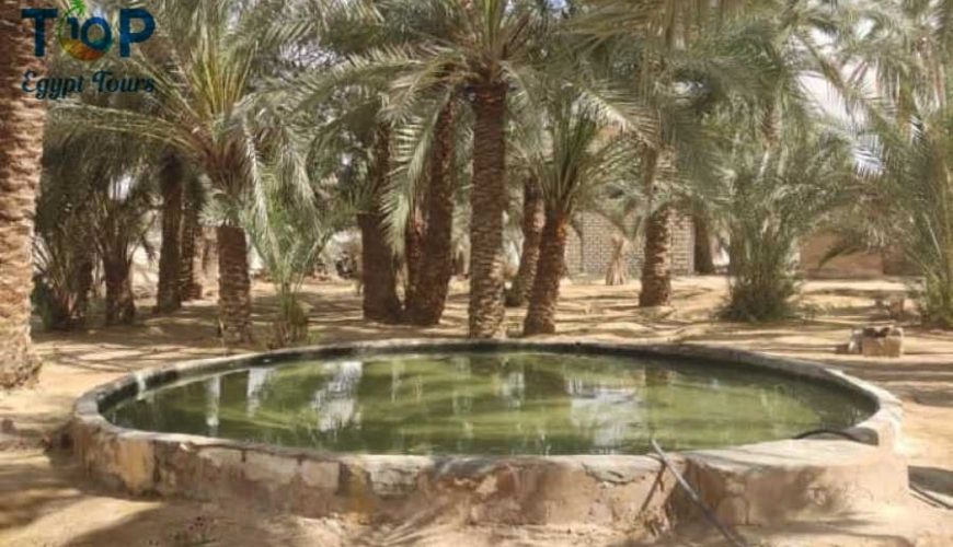 Siwa Oasis