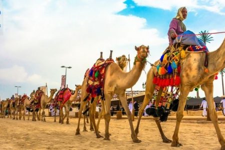 Pyramids Camel Ride, Felucca, and Quad Biking Day Trip in Cairo