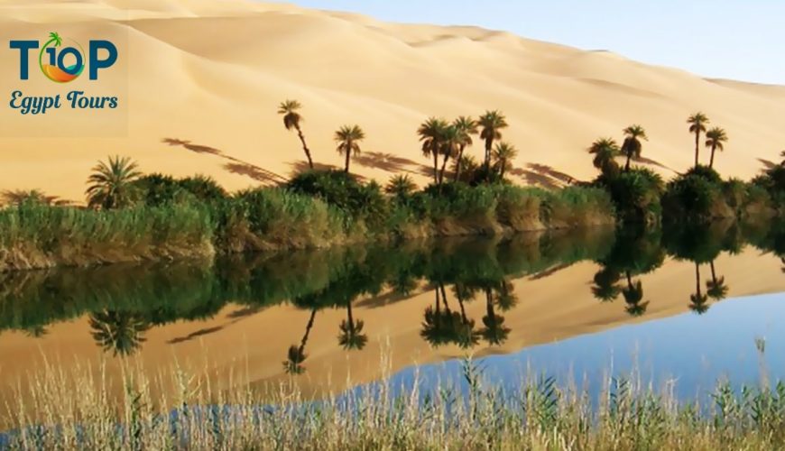 Cairo to Bahariya Oasis and Wadi El-Rayan 3 Days Tour