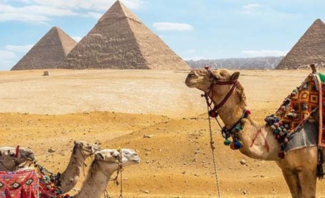 Giza Pyramid and saqqara Tour with Camel Ride