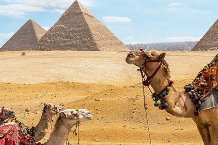 Giza Pyramids Tour with Camel Ride and Lunch From Aswan