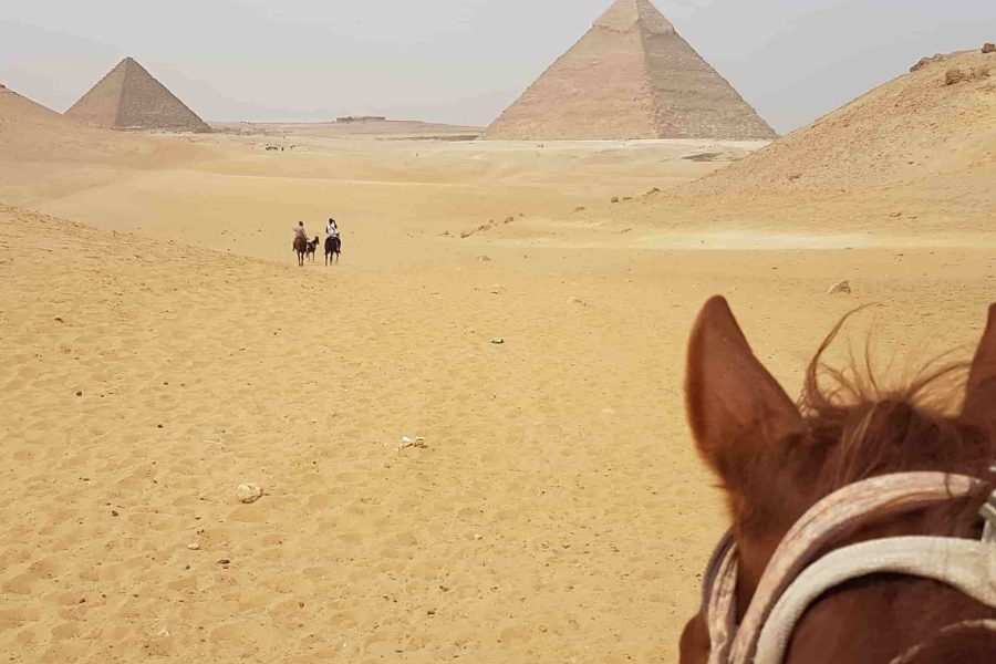 Camel or Horse Riding at Giza Pyramids from Cairo Airport