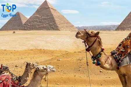 private Day tour to pyramids of Giza