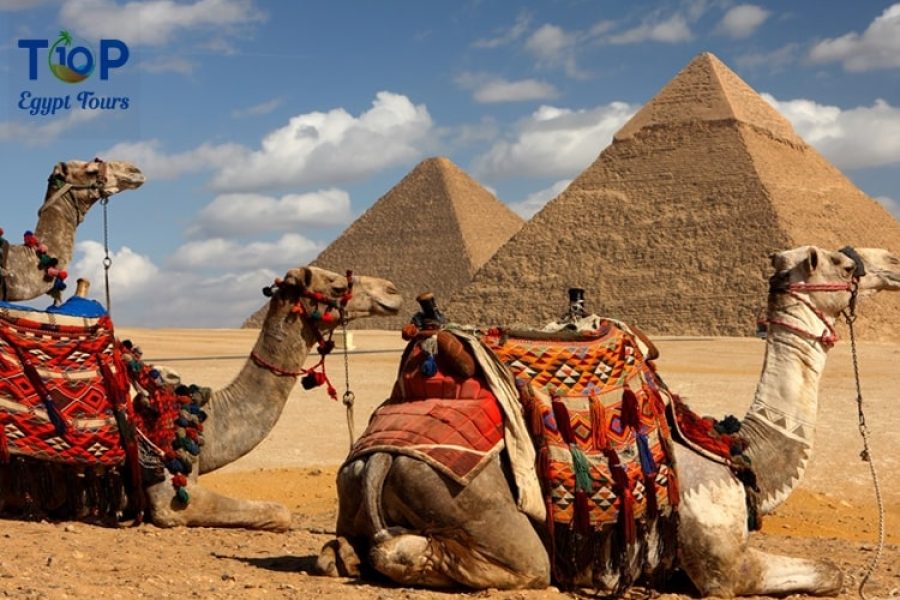 Giza Pyramids and Sakkara Tour