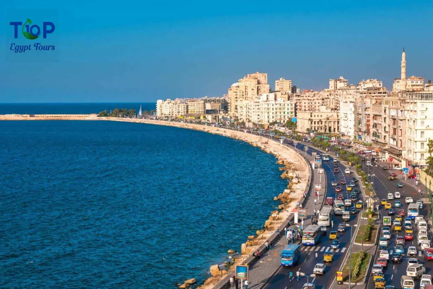 Full City Tour to Alexandria from Alexandria Hotel