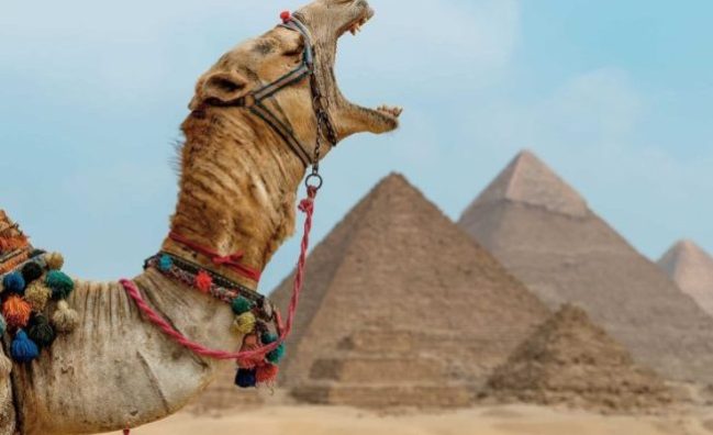 Giza Pyramids Tour With Camel Ride from Alexandria Port