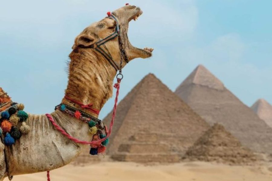 Giza Pyramids Tour With Camel Ride from Alexandria Port