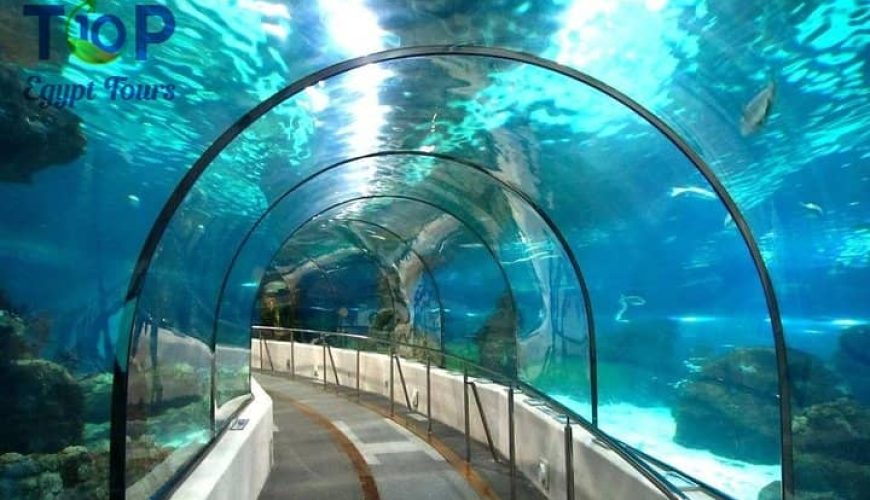 Hurghada Grand Aquarium Tour from Hurghada Hotel or Airport