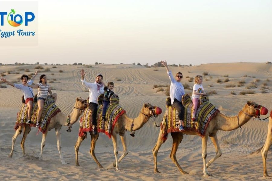 Quad Bike and Camel Safari Trip in Sharm El Sheikh