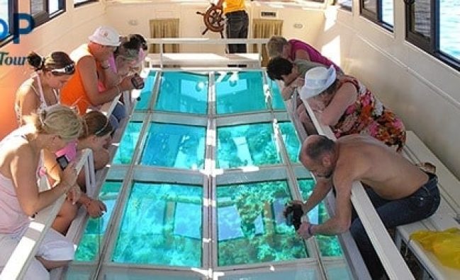 Glass Boat Trip in Sharm El Sheikh