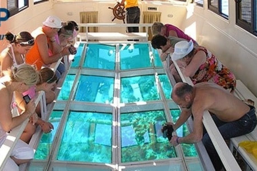 Glass Boat Trip in Sharm El Sheikh