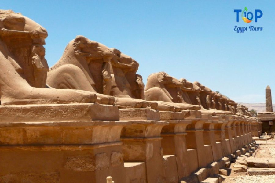 Avenue of Sphinx Day Tour to Luxor by Air from Sharm El Sheikh