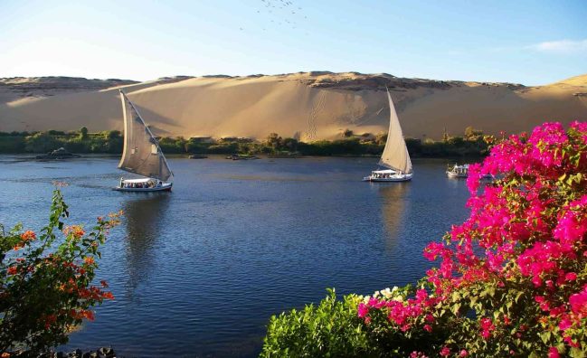 Bird Watching Tour in Aswan by Boat