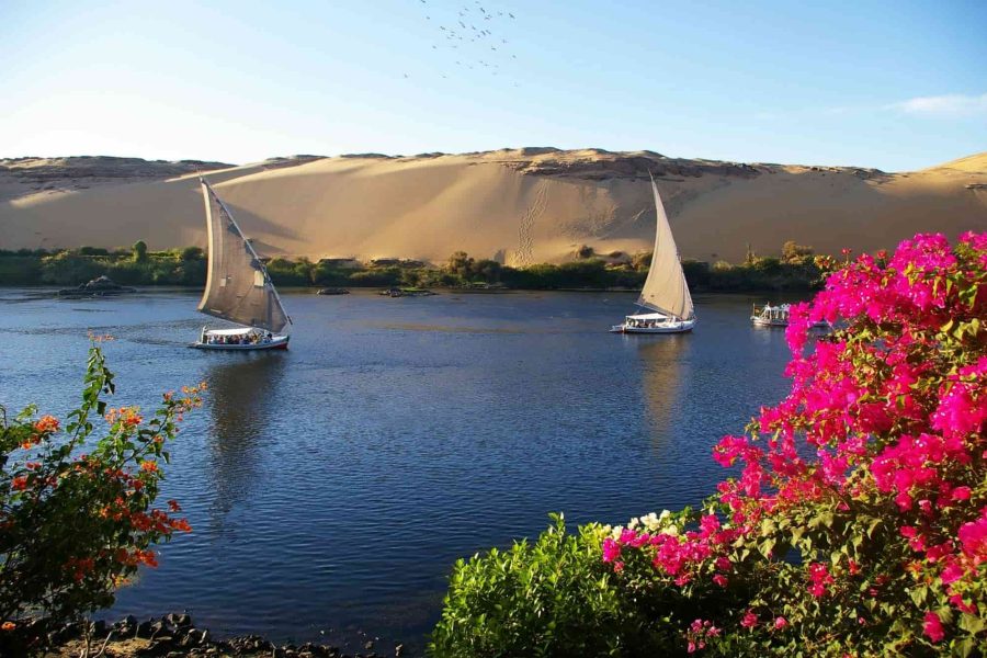 Bird Watching Tour in Aswan by Boat