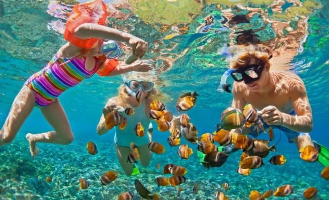 Full Day Hurghada Snorkeling Trip to Giftun Island National Park