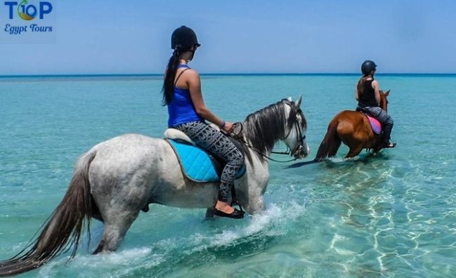 Horse Riding in Hurghada - Explore the Beautiful Landscapes on Horseback