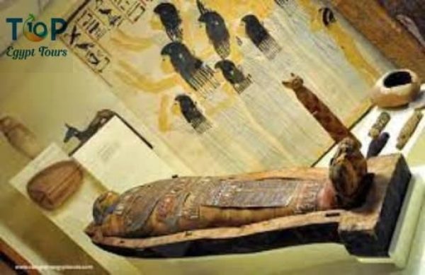 FUN FACTS ABOUT THE MUMMIFICATION PROCESS IN ANCIENT EGYPT visual data 4