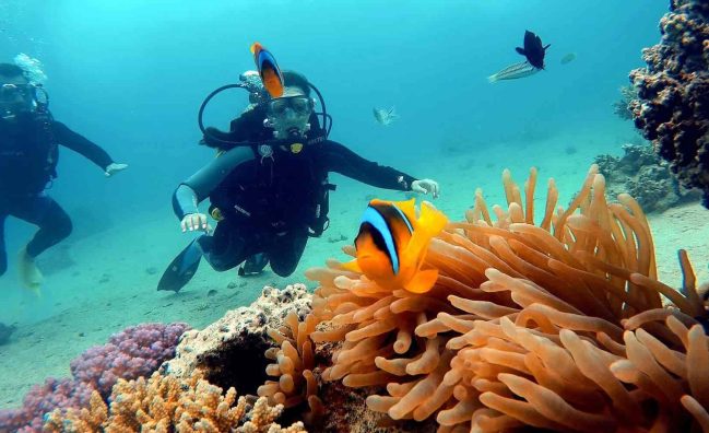 Scuba Diving Day Tour in Marsa Alam