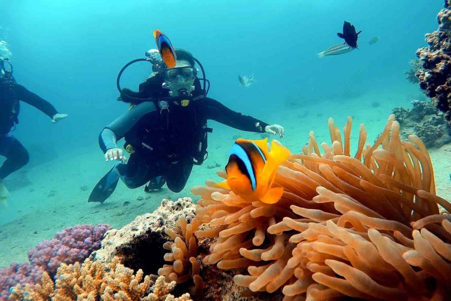 Scuba Diving Day Tour in Marsa Alam