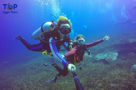 Red Sea Diving Safari From Safaga Port