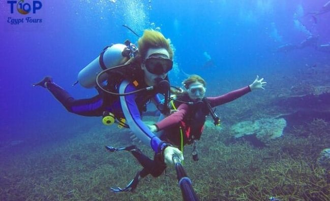 Red Sea Diving Safari From Safaga Port