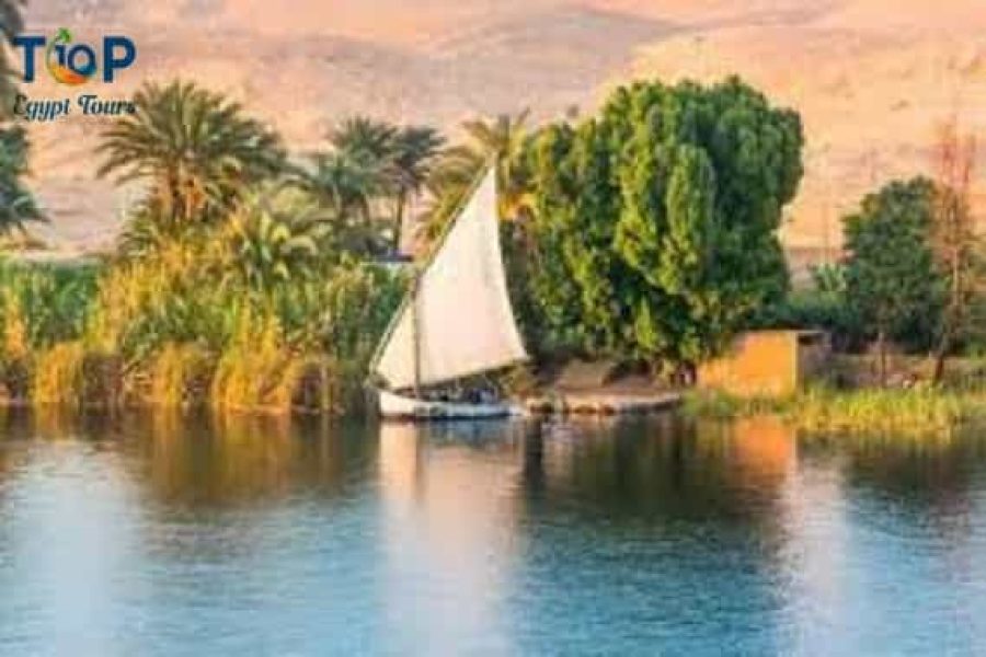 Banana Island Tour (Gezira el-Mozh) in Luxor