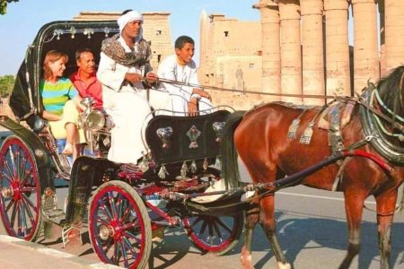 Luxor City Tour by Horse Carriage: Exploring Ancient Marvels and Local Delights