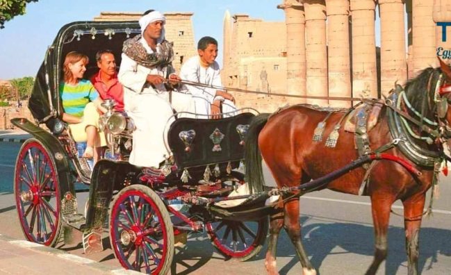 Luxor City Tour by Horse Carriage: Exploring Ancient Marvels and Local Delights