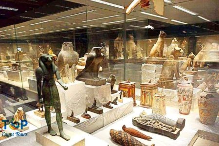 Sharm El Sheikh Museum Tour from Sharm Port