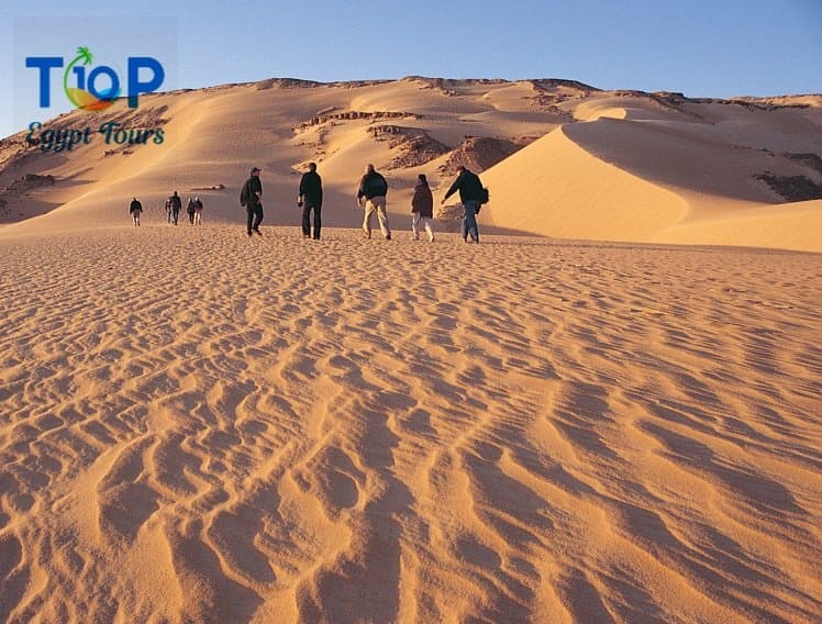 Egypt Oases -Explore the Purest Natural Beauty