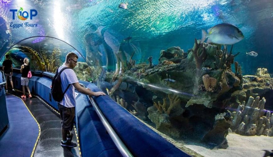 Hurghada Grand Aquarium