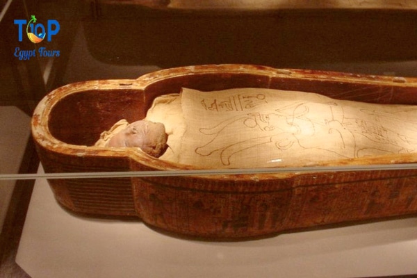 Mummification Museum in Luxor