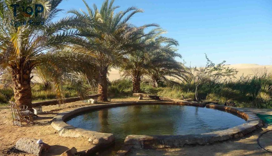 Natural Water Springs in Egypt