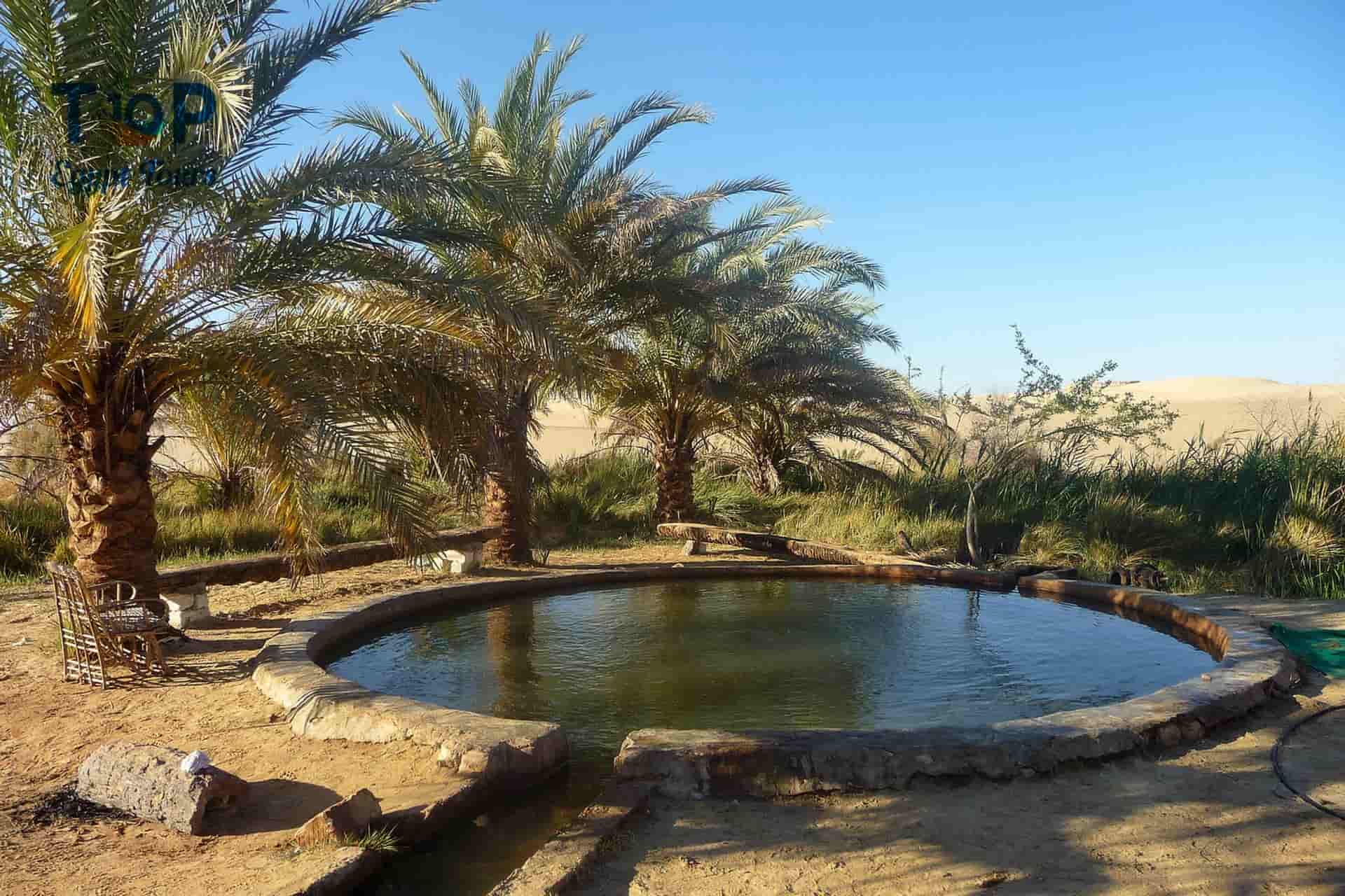 Natural Water Springs in Egypt