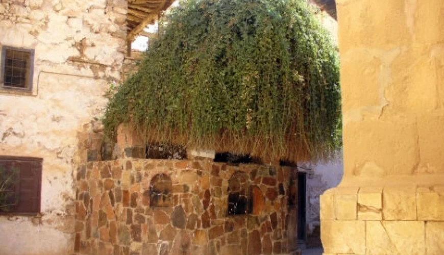 Burning Bush St. Catherine Monastery