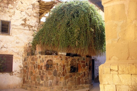 Burning Bush St. Catherine Monastery