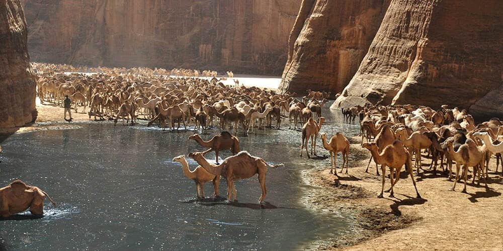 Wadi El Gemal National Park in Marsa Alam-min