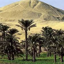 "Ahnasia" is one of the most important cities in Beni Suef Governorate.