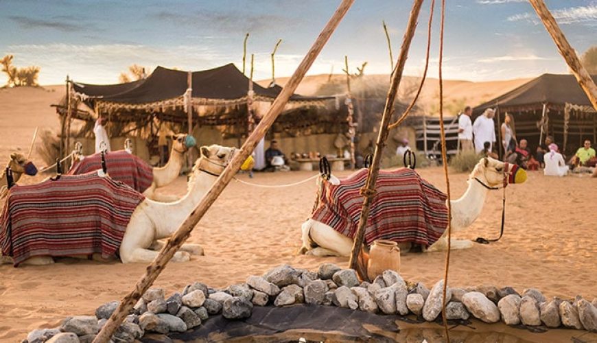 Bedouin Culture Immersion