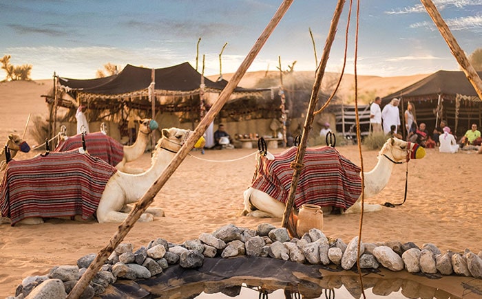 Bedouin Culture Immersion