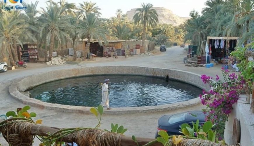 Secrets of Cleopatra’s Spring: Beauty at Siwa Oasis